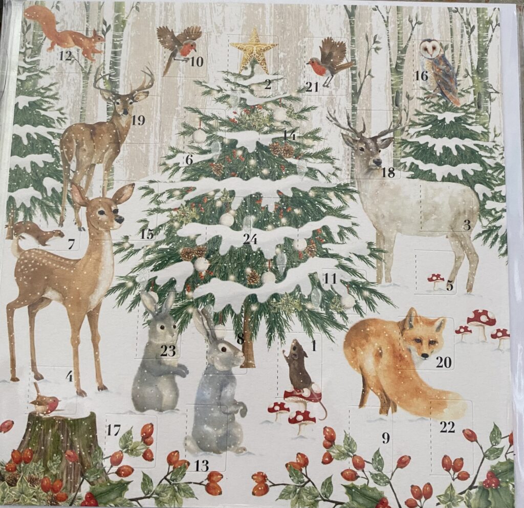 Winter Wonderland Advent Calendar Card Cari s Cards